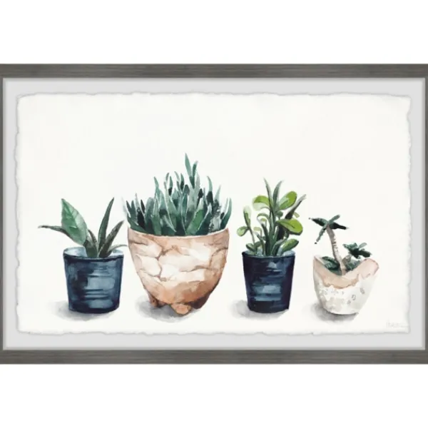 Framed Art-Kirkland's Home Deckled Succulent Row Framed Art Print White/Green/Blue/Brown
