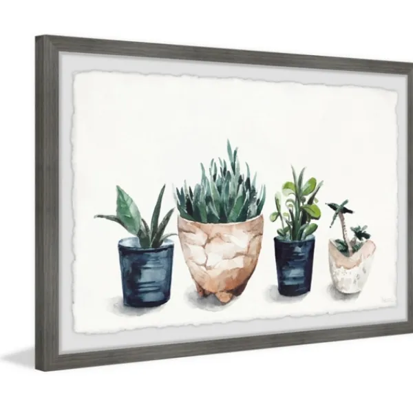 Framed Art-Kirkland's Home Deckled Succulent Row Framed Art Print White/Green/Blue/Brown