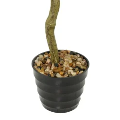 Trees & Topiaries-Kirkland's Home Douban Green In Ribbed Rock Planter