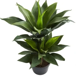 Trees & Topiaries-Kirkland's Home Double Agave Succulent, 29 In.
