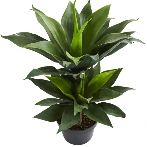 Trees & Topiaries-Kirkland's Home Double Agave Succulent, 29 In.