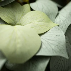 Stems & Bouquets-Kirkland's Home Draping Grape Ivy Leaf Bush Green