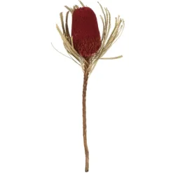 Stems & Bouquets-Kirkland's Home Dried Jumbo Banksia Stems, Set Of 3 Red