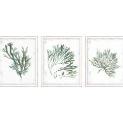 Framed Art-Kirkland's Home Emerald Coral I 3-Pc. Framed Art Print Set White/Green