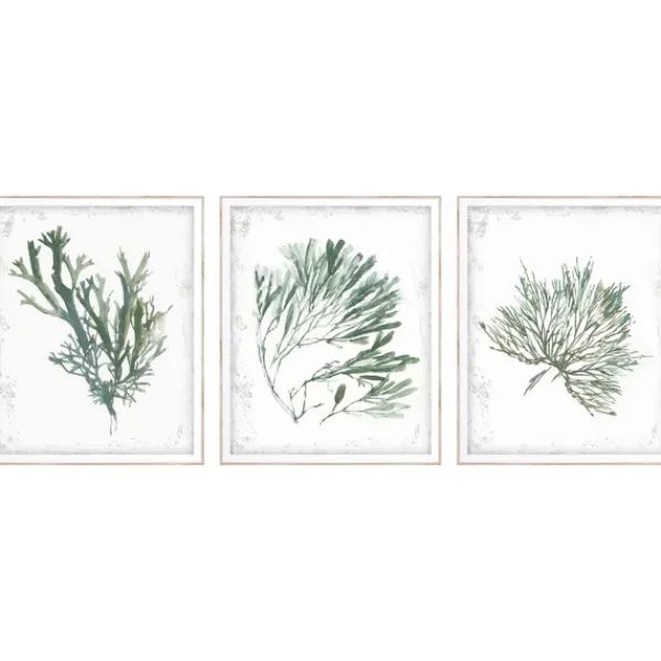 Framed Art-Kirkland's Home Emerald Coral I 3-Pc. Framed Art Print Set White/Green