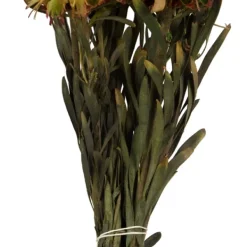 Stems & Bouquets-Kirkland's Home En Preserved Plumosum Flower Bundle Gold