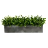 Arrangements & Greenery-Kirkland's Home Eucalyptus Arrangement In Gray Planter Box Green/Gray