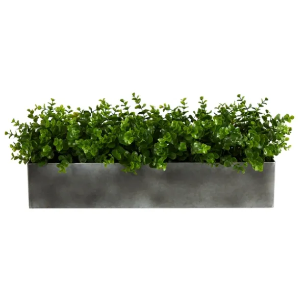 Arrangements & Greenery-Kirkland's Home Eucalyptus Arrangement In Gray Planter Box Green/Gray