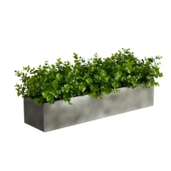Arrangements & Greenery-Kirkland's Home Eucalyptus Arrangement In Gray Planter Box Green/Gray