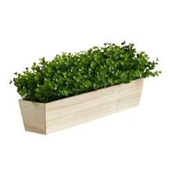 Arrangements & Greenery-Kirkland's Home Eucalyptus Arrangement In Wide Wooden Planter Green/Tan