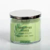 Candles-Kirkland's Home Eucalyptus Leaves Triple Wick Jar Candle Green