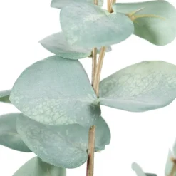 Stems & Bouquets-Kirkland's Home Eucalyptus Sprays, Set Of 3 Green