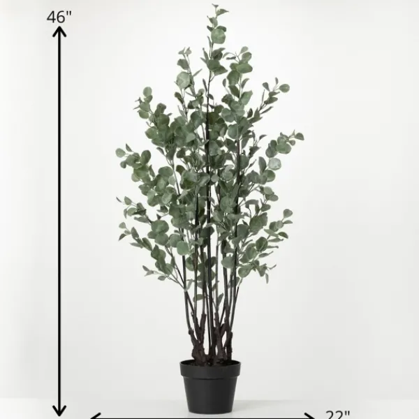 Trees & Topiaries-Kirkland's Home Eucalyptus Tree In Black Planter