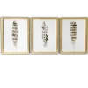 Framed Art-Kirkland's Home Feathers Framed Art Prints, Set Of 3 White/Brown