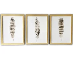 Framed Art-Kirkland's Home Feathers Framed Art Prints, Set Of 3 White/Brown