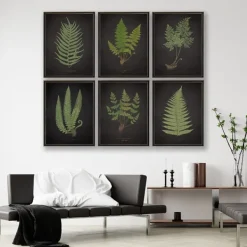 Framed Art-Kirkland's Home Fern Bookplate Vii Framed Art Print Black/Green