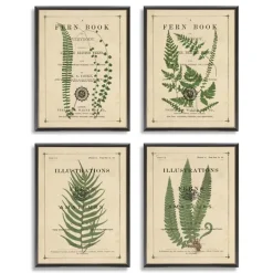 Framed Art-Kirkland's Home Fern Illustrations Framed Art Prints, Set Of 4 Green/Brown