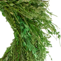 Wreaths-Kirkland's Home Foliage Spring Wreath Green