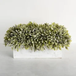 Arrangements & Greenery-Kirkland's Home Frosted Sage Arrangement In Wooden Box Green