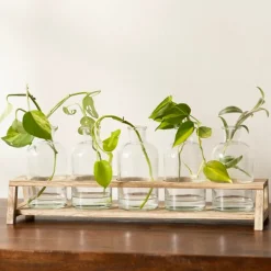 Vases-Kirkland's Home Glass Bottle Vase And Crate 5-Pc. Set Clear