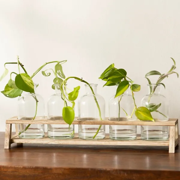Vases-Kirkland's Home Glass Bottle Vase And Crate 5-Pc. Set Clear