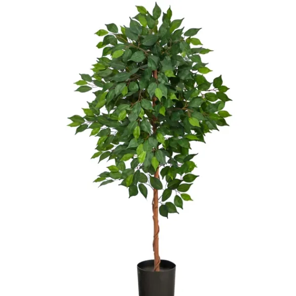 Trees & Topiaries-Kirkland's Home Glossy Leaf Ficus Tree In Black Nursery Planter