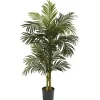 Trees & Topiaries-Kirkland's Home Golden Cane Palm Tree, 5 Ft.