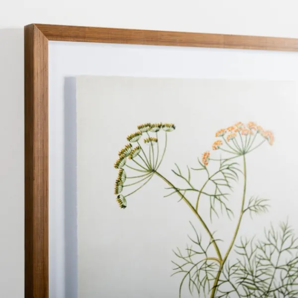 Framed Art-Kirkland's Home Golden Leaves Herbs Dill Framed Art Print White/Green