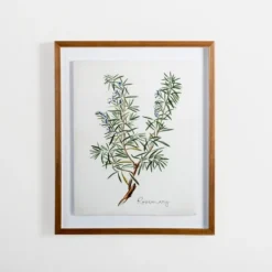Framed Art-Kirkland's Home Golden Leaves Herbs Rosemary Framed Art Print White/Green