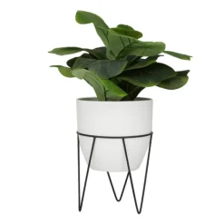 Trees & Topiaries-Kirkland's Home Gourd Plant In Hairpin Leg Planter