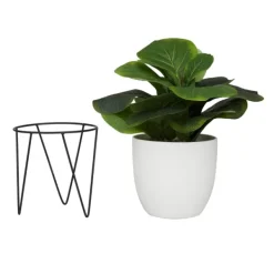 Trees & Topiaries-Kirkland's Home Gourd Plant In Hairpin Leg Planter
