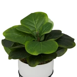 Trees & Topiaries-Kirkland's Home Gourd Plant In Hairpin Leg Planter