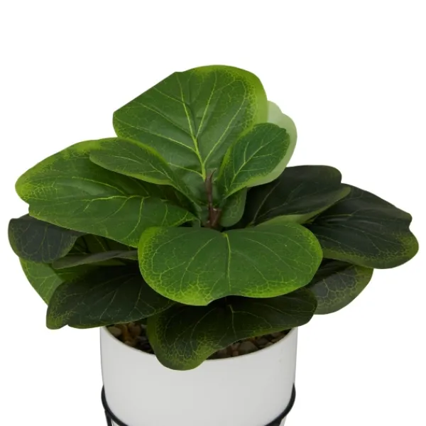 Trees & Topiaries-Kirkland's Home Gourd Plant In Hairpin Leg Planter