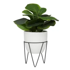 Trees & Topiaries-Kirkland's Home Gourd Plant In Hairpin Leg Planter