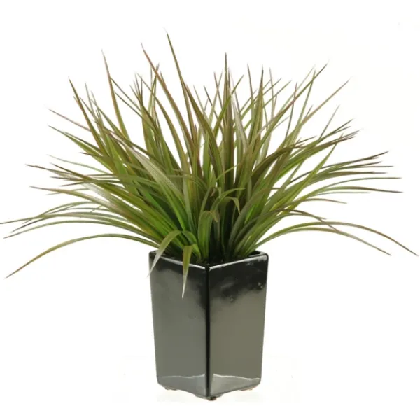 Arrangements & Greenery-Kirkland's Home Grass Arrangement In Black Ceramic Planter Green