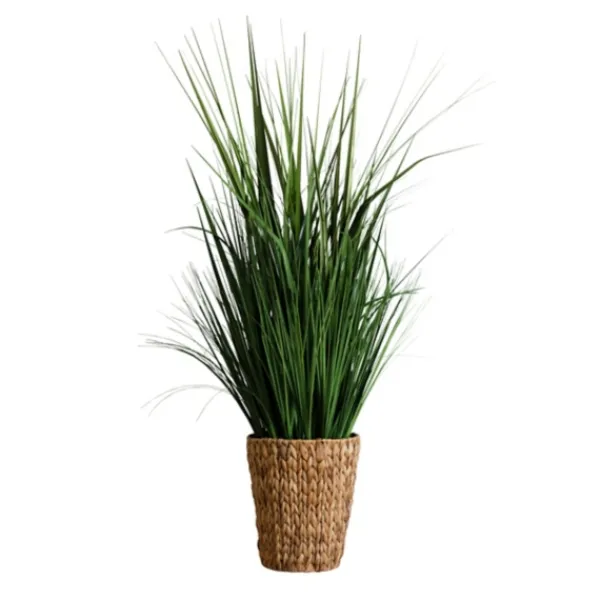 Arrangements & Greenery-Kirkland's Home Grass Arrangement In Natural Woven Basket Green