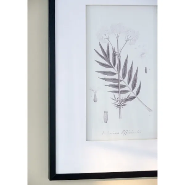 Framed Art-Kirkland's Home Gray And Cream Foliage 4-Pc. Framed Wall Art Set Gray/White