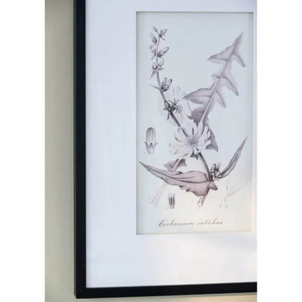 Framed Art-Kirkland's Home Gray And Cream Foliage 4-Pc. Framed Wall Art Set Gray/White