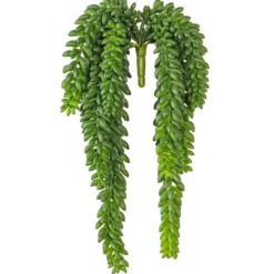 Stems & Bouquets-Kirkland's Home Green Donkey'S Tail Bush