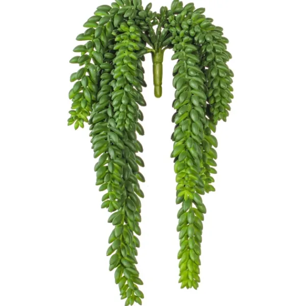 Stems & Bouquets-Kirkland's Home Green Donkey'S Tail Bush