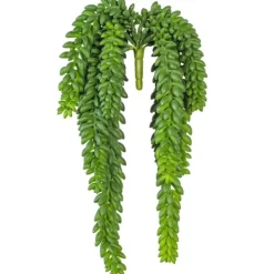 Stems & Bouquets-Kirkland's Home Green Donkey'S Tail Bush
