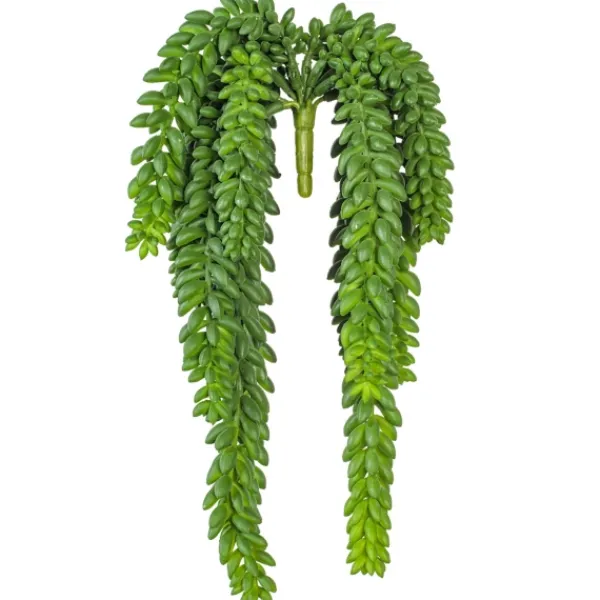 Stems & Bouquets-Kirkland's Home Green Donkey'S Tail Bush