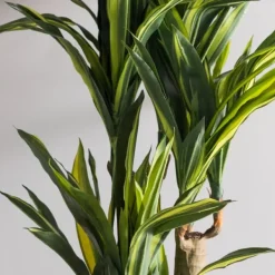 Trees & Topiaries-Kirkland's Home Green Dracaena Tree In Black Planter