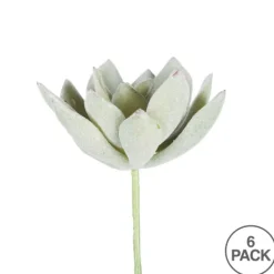 Stems & Bouquets-Kirkland's Home Green Echeveria Stems, Set Of 6 Green/White