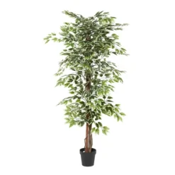 Trees & Topiaries-Kirkland's Home Green Ficus Potted Tree, 73 In.
