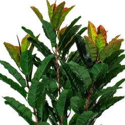 Trees & Topiaries-Kirkland's Home Green Myrtle Tree In Black Planter