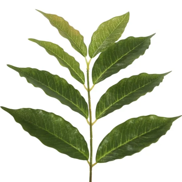 Trees & Topiaries-Kirkland's Home Green Nandina Potted Tree, 4 Ft.