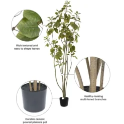 Trees & Topiaries-Kirkland's Home Green Potted Cotinus Coggygria Tree, 6 Ft.
