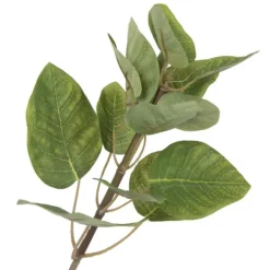 Trees & Topiaries-Kirkland's Home Green Potted Cotinus Coggygria Tree, 4 Ft.