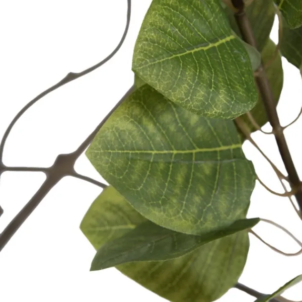 Trees & Topiaries-Kirkland's Home Green Potted Cotinus Coggygria Tree, 4 Ft.